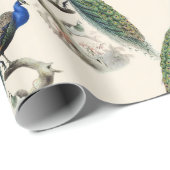 Cadeau Papier à enveloppement Peacock vintage (Coin rond)