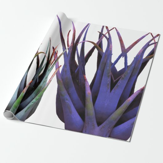 Cadeau Papier à enveloppement plante (Déroulé)