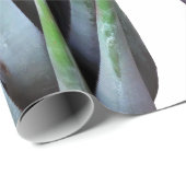 Cadeau Papier à enveloppement plante (Coin rond)