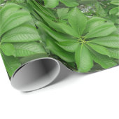 Cadeau Papier à enveloppement Plante vert (Coin rond)