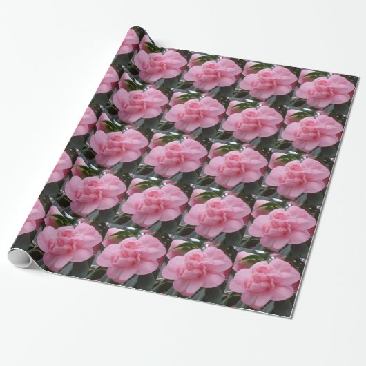 Cadeau Papier à enveloppement rose (Déroulé)