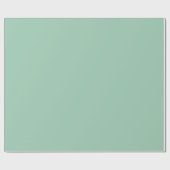 Cadeau Papier à enveloppement vert clair solide / Envelop (Plat)