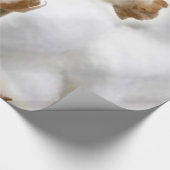 Cadeau Papier à envelopper brillant, coton (Coin)