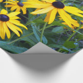Cadeau Papier à envelopper de Susans à l'oeil noir (Coin)