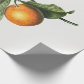 CADEAU PAPIER CADEAU: BITTER ORANGE BLOSSOM (Coin)