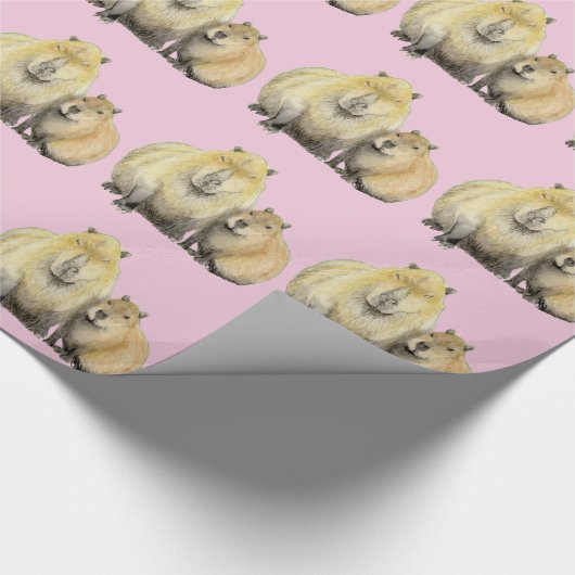 Cadeau Papier capybara (Coin)