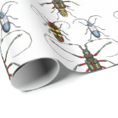 Cadeau Papier de coléoptères (Coin rond)