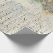 Cadeau Papier de Decoupage d'éphémères de paon (Coin)