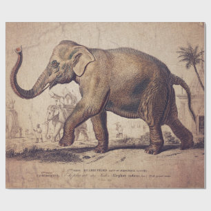 Cadeau Papier de recouvrement d'éléphants ou de découp