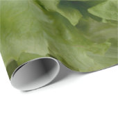 Cadeau Papier de wrappng de laitue (Coin rond)