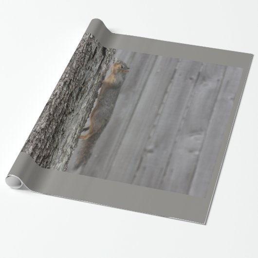 Cadeau Papier d'écureuil (Déroulé)