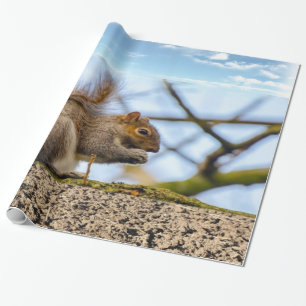 Cadeau Papier d'écureuil