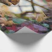 Cadeau Papier d'écureuil (Coin)