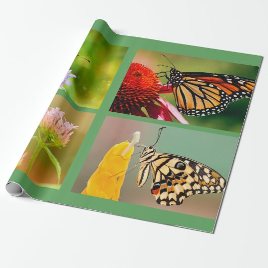 Cadeau Papier d'emballage (Déroulé)