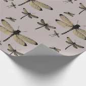 Cadeau papier d'emballage (Coin)