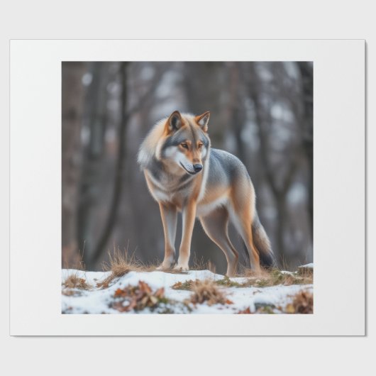 Cadeau Papier d'emballage  (Plat)