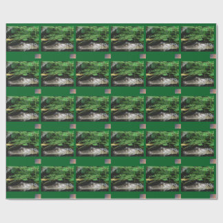 Cadeau Papier d'emballage Alligator