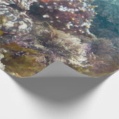 Cadeau Papier d'emballage bleu de corail (Coin)