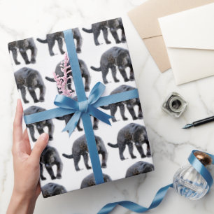 Cadeau Papier d'emballage brillant Jaguar Diablo
