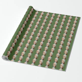Cadeau Papier d'emballage d'Alexander Hamilton