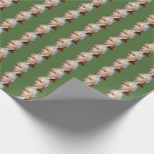 Cadeau Papier d'emballage d'Alexander Hamilton (Coin)