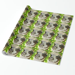 Cadeau Papier d'emballage d'alpaga