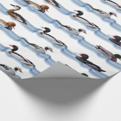 Cadeau Papier d'emballage Dandy Ducks (Coin)