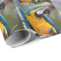 Papier d'emballage d'ara bleu et jaune