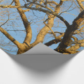 Cadeau Papier d'emballage d'arbres de coucher du soleil (Coin)