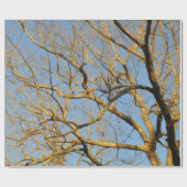 Cadeau Papier d'emballage d'arbres de coucher du soleil (Plat)