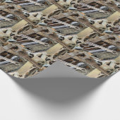 Cadeau Papier d'emballage de broche (Coin)