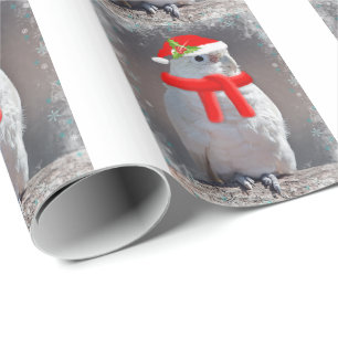 Cadeau Papier d'emballage de cacatoès de Noël