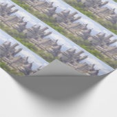 Cadeau Papier d'emballage de Camelot (Coin)