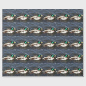 Cadeau Papier d'emballage de canard masculin de Mallard (Plat)