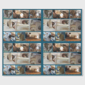 Cadeau Papier d'emballage de chats (Plat)