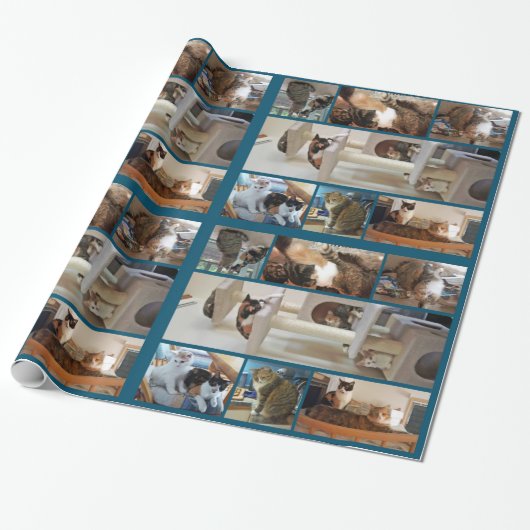 Cadeau Papier d'emballage de chats (Déroulé)