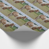 Cadeau Papier d'emballage de cheval (Coin)
