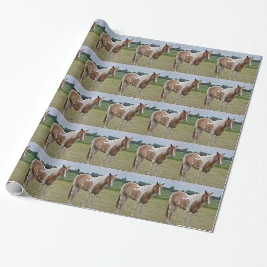 Cadeau Papier d'emballage de cheval (Déroulé)