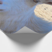 Cadeau Papier d'emballage de chèvre (Coin)