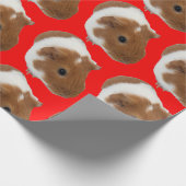 Cadeau Papier d'emballage de cochon d'Inde (Coin)