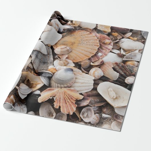 Cadeau Papier d'emballage de conception de coquille de (Déroulé)