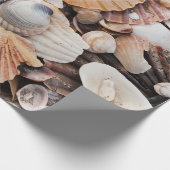 Cadeau Papier d'emballage de conception de coquille de (Coin)