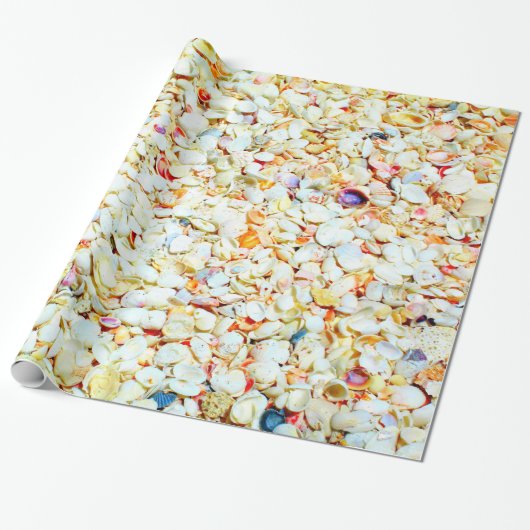 Cadeau Papier d'emballage de coquillage (Déroulé)