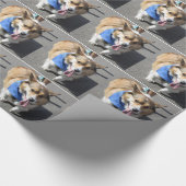 Cadeau Papier d'emballage de corgi (Coin)