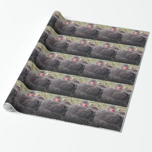 Cadeau Papier d'emballage de cygne noir de sommeil