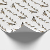 Cadeau Papier d'emballage de famille de cailles de (Coin)