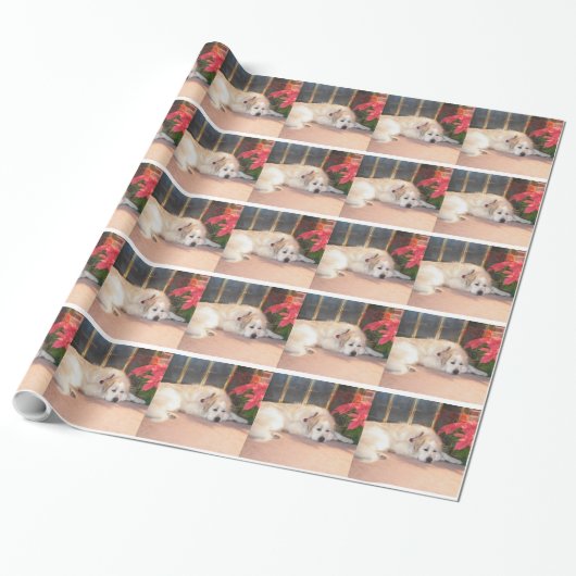 Cadeau Papier d'emballage de Grands Pyrénées (Déroulé)