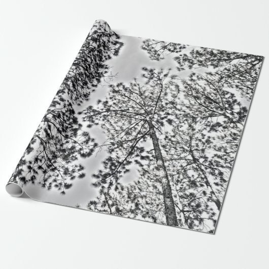 Cadeau Papier d'emballage de Gumtree (Déroulé)