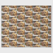 Cadeau papier d'emballage de labradoodle (Plat)