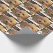 Cadeau papier d'emballage de labradoodle (Coin)